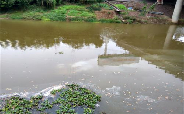 惡臭氣體在線監(jiān)測(cè)儀