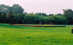 網(wǎng)絡(luò)化空氣監(jiān)測站監(jiān)測哪些參數(shù)？